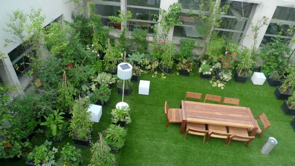 Ταρατσόκηποι (roof – gardens)